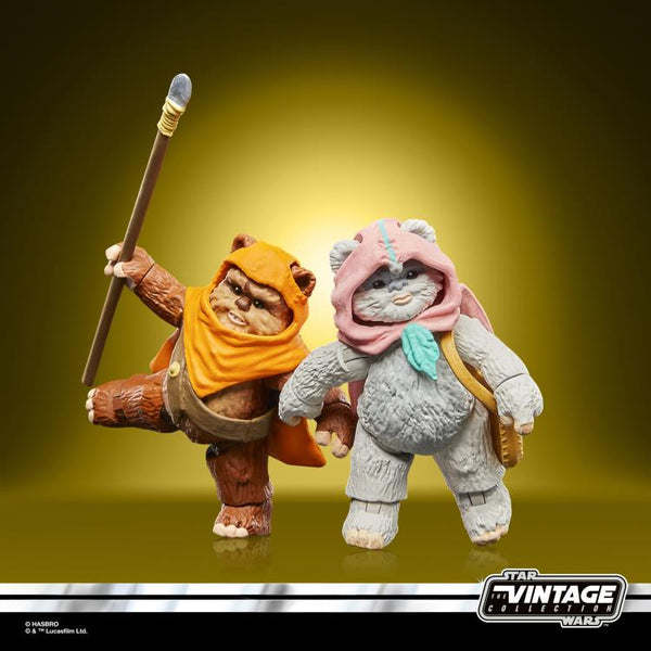 Star Wars The Vintage Collection Wicket and Kneesaa 2 pack (Star