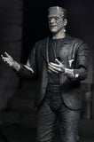 Universal Monsters The Bride of Frankenstein 90th Anniversary The Monster and His Mate Action Figure Two-Pack