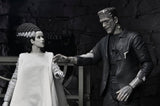 Universal Monsters The Bride of Frankenstein 90th Anniversary The Monster and His Mate Action Figure Two-Pack
