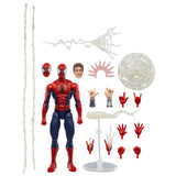 Marvel Legends Maximum Series Spider-man