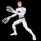 Marvel Legends Spider-man and Mr. Fantastic 2 Pack (Future Foundation)