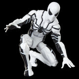 Marvel Legends Spider-man and Mr. Fantastic 2 Pack (Future Foundation)