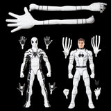Marvel Legends Spider-man and Mr. Fantastic 2 Pack (Future Foundation)