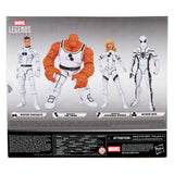 Marvel Legends Invisible Woman and The Thing 2 Pack (Future Foundation)
