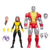 Marvel Legends Kitty Pryde and Colossus 2 pack