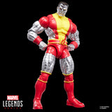 Marvel Legends Kitty Pryde and Colossus 2 pack