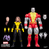 Marvel Legends Kitty Pryde and Colossus 2 pack