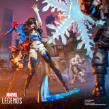Marvel Legends The Punisher (Marvel Rivals)