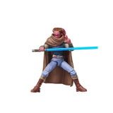 Star Wars The Vintage Collection 3.75" Devon Izara (Maul - Shadow Lord)