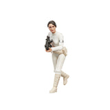 Star Wars: The Vintage Collection 3.75" Padme Amidala - Geonosis (Attack of the Clones)