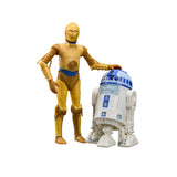 Star Wars: The Black Series C-3P0 (Star Wars: Droids)