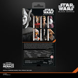 Star Wars: The Black Series Queen Amidala (The Phantom Menace)