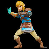 The Legend of Zelda Heroes of Hyrule Link