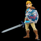 The Legend of Zelda Heroes of Hyrule Link