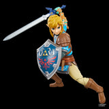 The Legend of Zelda Heroes of Hyrule Link