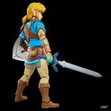 The Legend of Zelda Heroes of Hyrule Link
