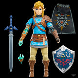 The Legend of Zelda Heroes of Hyrule Link