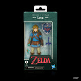 The Legend of Zelda Heroes of Hyrule Link