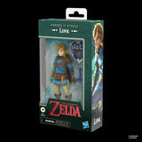 The Legend of Zelda Heroes of Hyrule Link