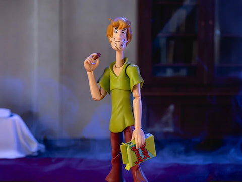 Jada Scooby Doo  Shaggy Rogers Action Figure