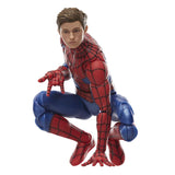 Marvel Legends Spider-Man: No Way Home Spider-Man (Tom Holland)