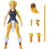Masters of the Universe X ThunderCats Origins Cheetara
