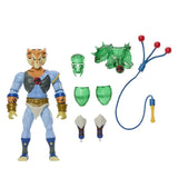 Masters of the Universe X ThunderCats Origins Tygra