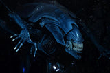 NECA Alien Queen ultra deluxe figure