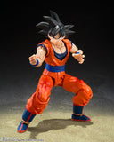 S.H. Figuarts Dragonball Goku (Kind Hearted Saiyan)