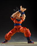 S.H. Figuarts Dragonball Goku (Kind Hearted Saiyan)