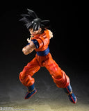 S.H. Figuarts Dragonball Goku (Kind Hearted Saiyan)