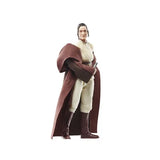 Star Wars Black Series Jedi Master Indara (The Acolyte)