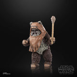 Star Wars Black Series Wicket W Warwick (Return of the Jedi)