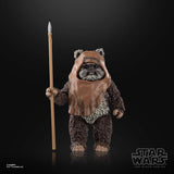 Star Wars Black Series Wicket W Warwick (Return of the Jedi)