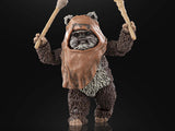 Star Wars Black Series Wicket W Warwick (Return of the Jedi)