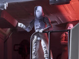 Star Wars The Vintage Collection 3.75" Imperial Snowtrooper Commander (Empire Strikes Back)