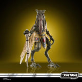 Star Wars The Vintage Collection 3.75" Poggle The Lesser (Attack of the Clones)