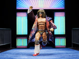 WWE Ultimate Greatest Hits Ultimate Warrior