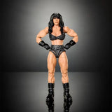 WWE Elite Series Summer Slam 2026 Chyna (Jesse Ventura Build A Figure)