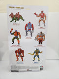 2014 Masters of the Universe 12 inch Beast Man (with mailer)