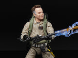 Ghostbusters Plasma Series Afterlife Ray Stantz