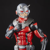 Marvel Legends Ant-Man and The Wasp 2 pack