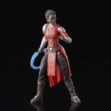 Marvel Legends Black Panther Legacy Nakia