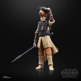 Star Wars Black Series Archive Princess Leia Organa (Boushh Disguise)