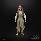 Star Wars Black Series Princess Leia (Ewok Village) (Return of the Jedi)