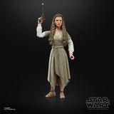 Star Wars Black Series Princess Leia (Ewok Village) (Return of the Jedi)