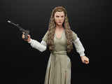 Star Wars Black Series Princess Leia (Ewok Village) (Return of the Jedi)