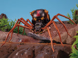 Takara Transformers Masterpiece MP46 Blackarachnia